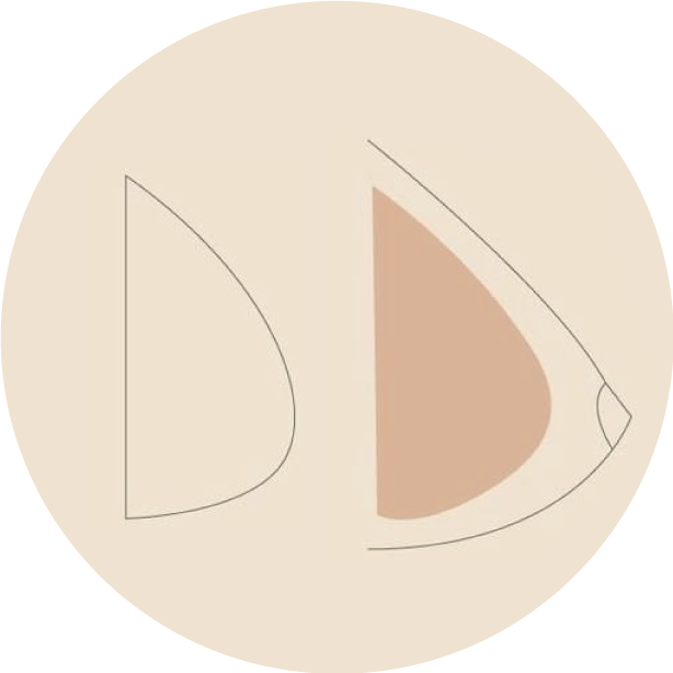 icono-protesis-anatomicas